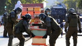 В Чили пчёлы покусали полицейских в ходе протеста